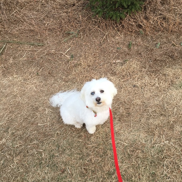 Meet your Posher, Ellen - Picture 1 of 1